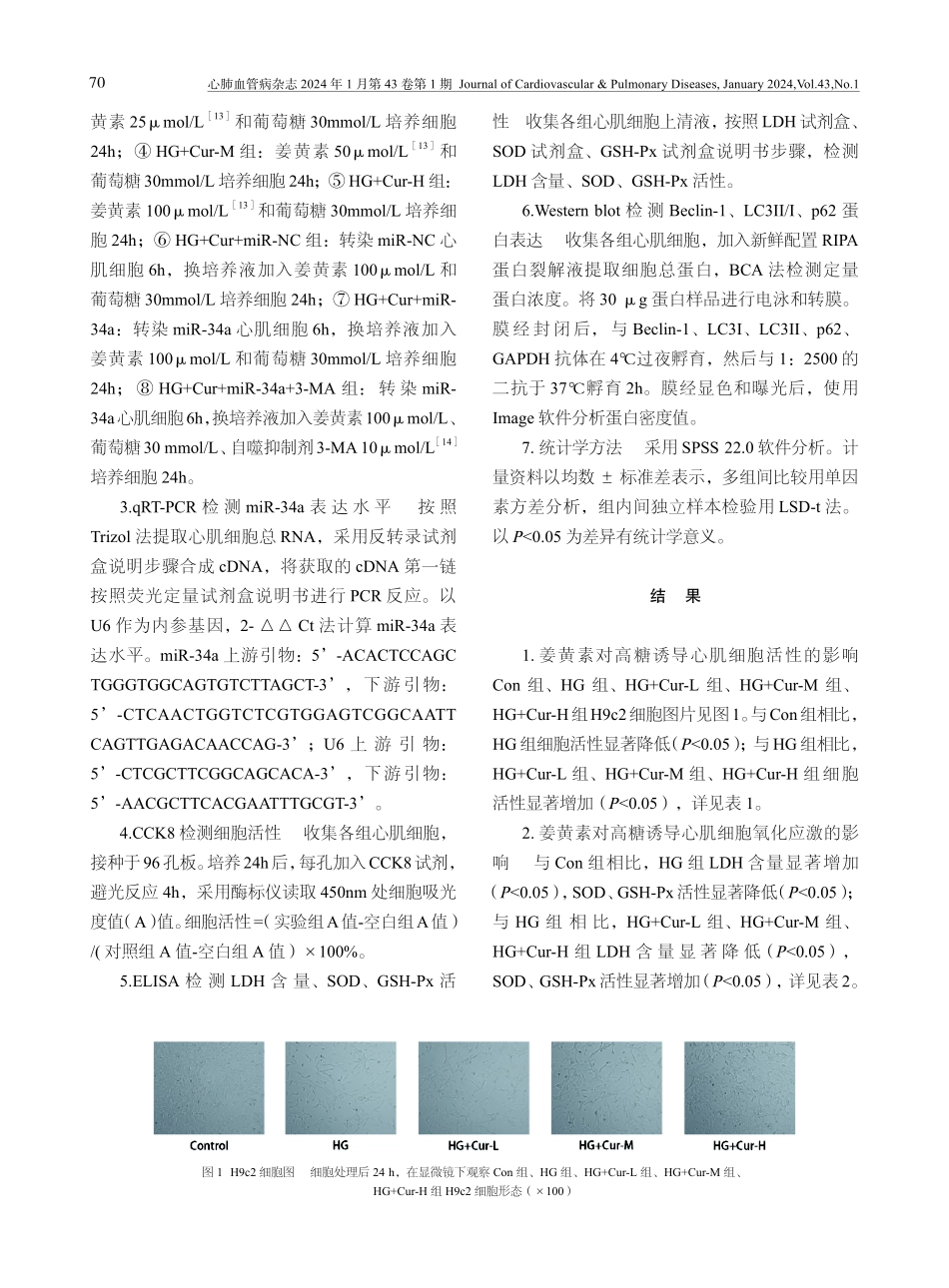 姜黄素通过微小核糖核酸-34a介导的自噬途径保护心肌细胞免受高糖诱导的损伤研究.pdf_第3页