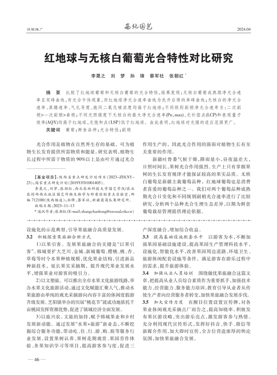 红地球与无核白葡萄光合特性对比研究.pdf_第1页