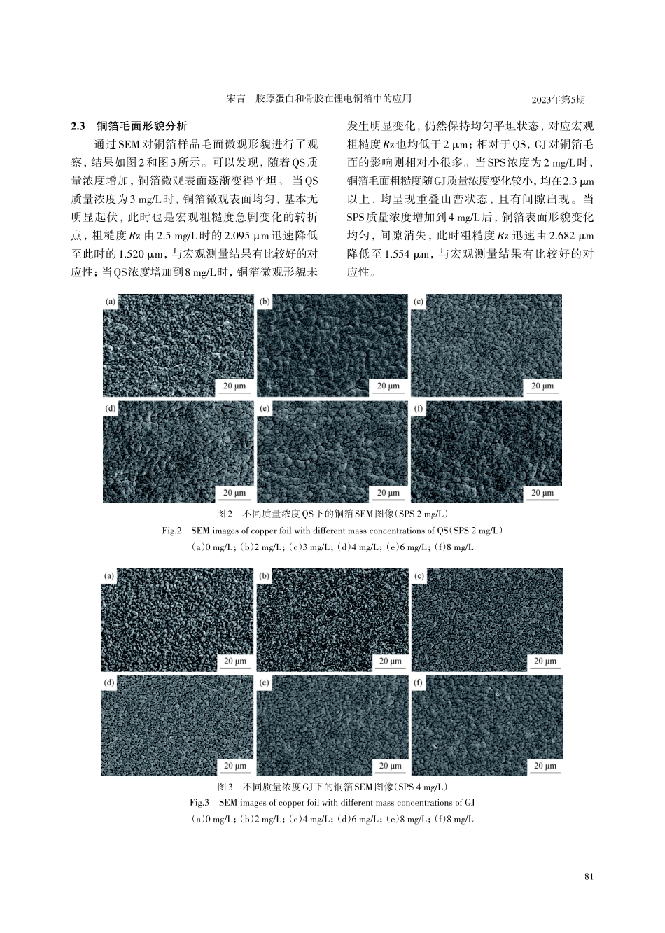 胶原蛋白和骨胶在锂电铜箔中的应用.pdf_第3页