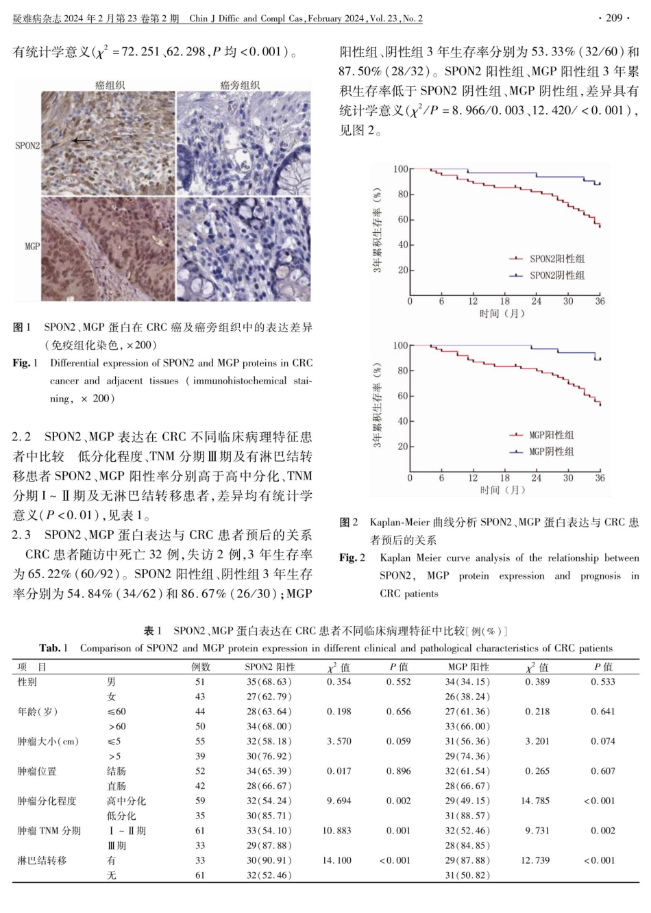 结直肠癌组织中SPON2、MGP表达及临床意义.pdf_第3页