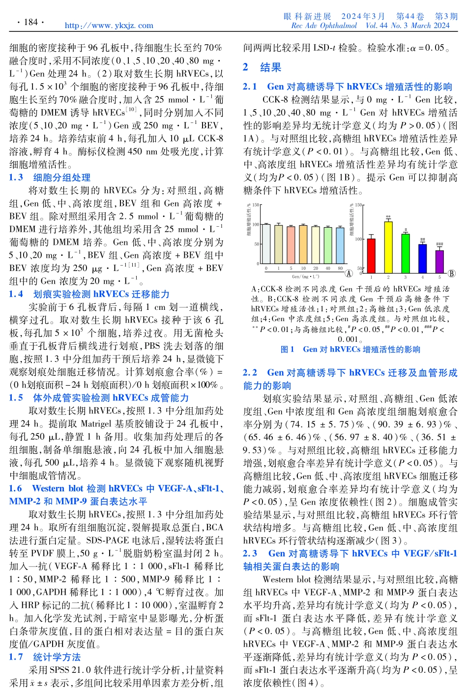京尼平苷对高糖诱导的人视网膜血管内皮细胞增殖及血管生成的影响及机制研究.pdf_第2页