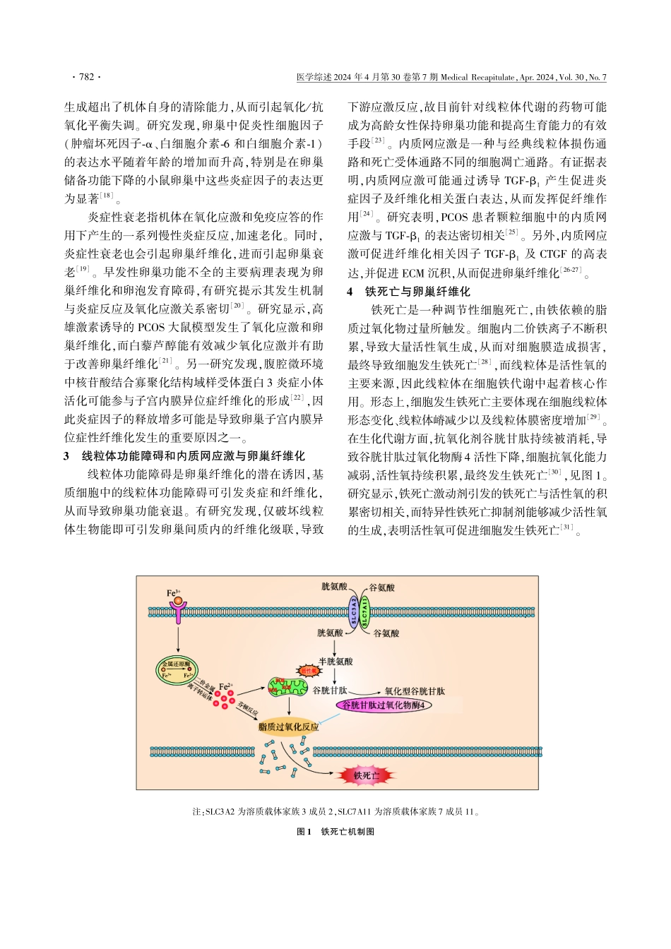 卵巢纤维化发病机制的研究进展.pdf_第3页