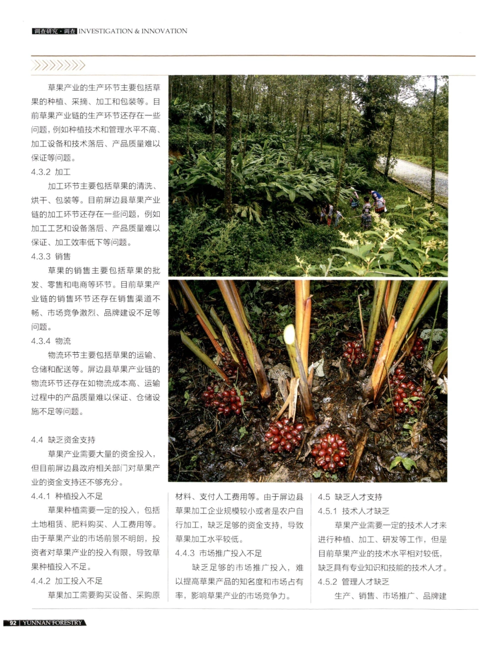 屏边县草果产业状况调查报告.pdf_第3页