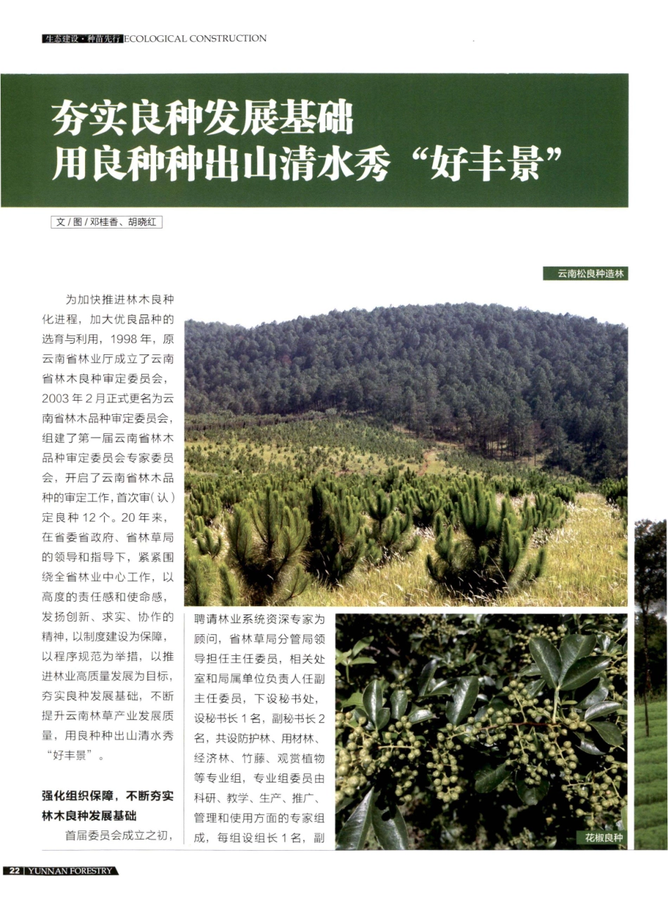 夯实良种发展基础 用良种种出山清水秀“好丰景”.pdf_第1页