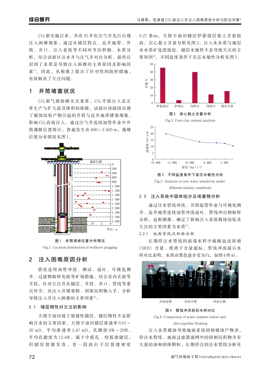 低渗透CO_%282%29驱注入井注入困难原因分析与防治对策.pdf_第2页