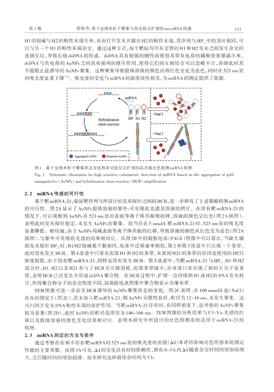 基于金纳米粒子聚集与杂交链式扩增的microRNA传感.pdf_第3页