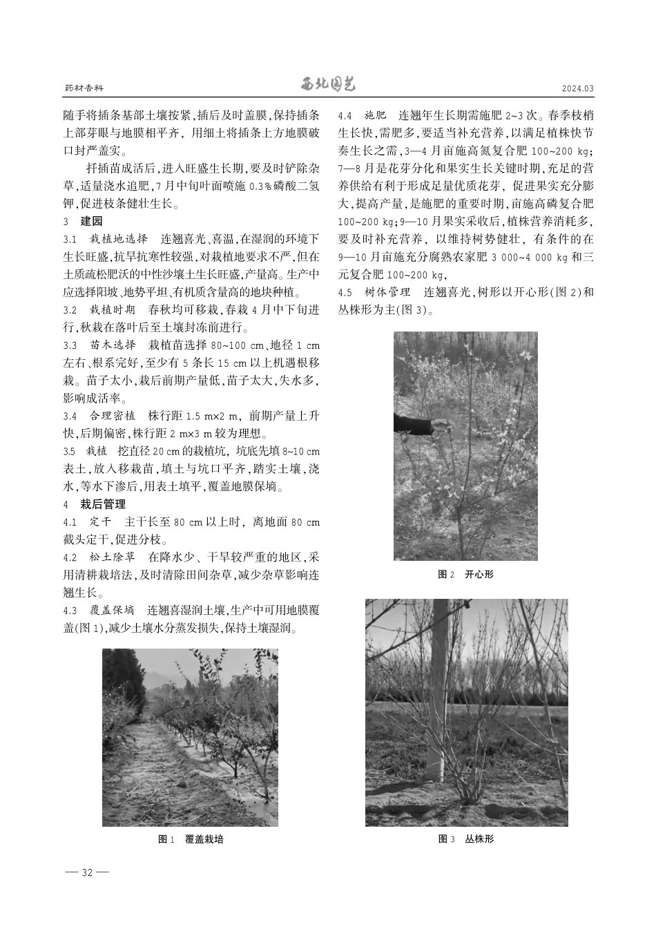 连翘苗木繁育及高效栽培.pdf_第2页