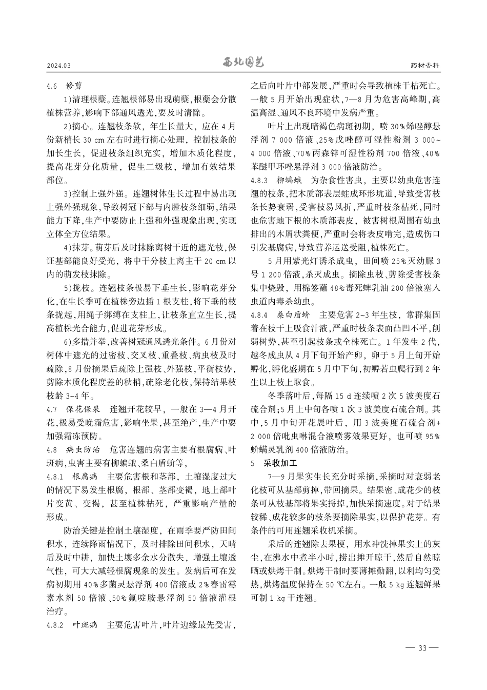 连翘苗木繁育及高效栽培.pdf_第3页