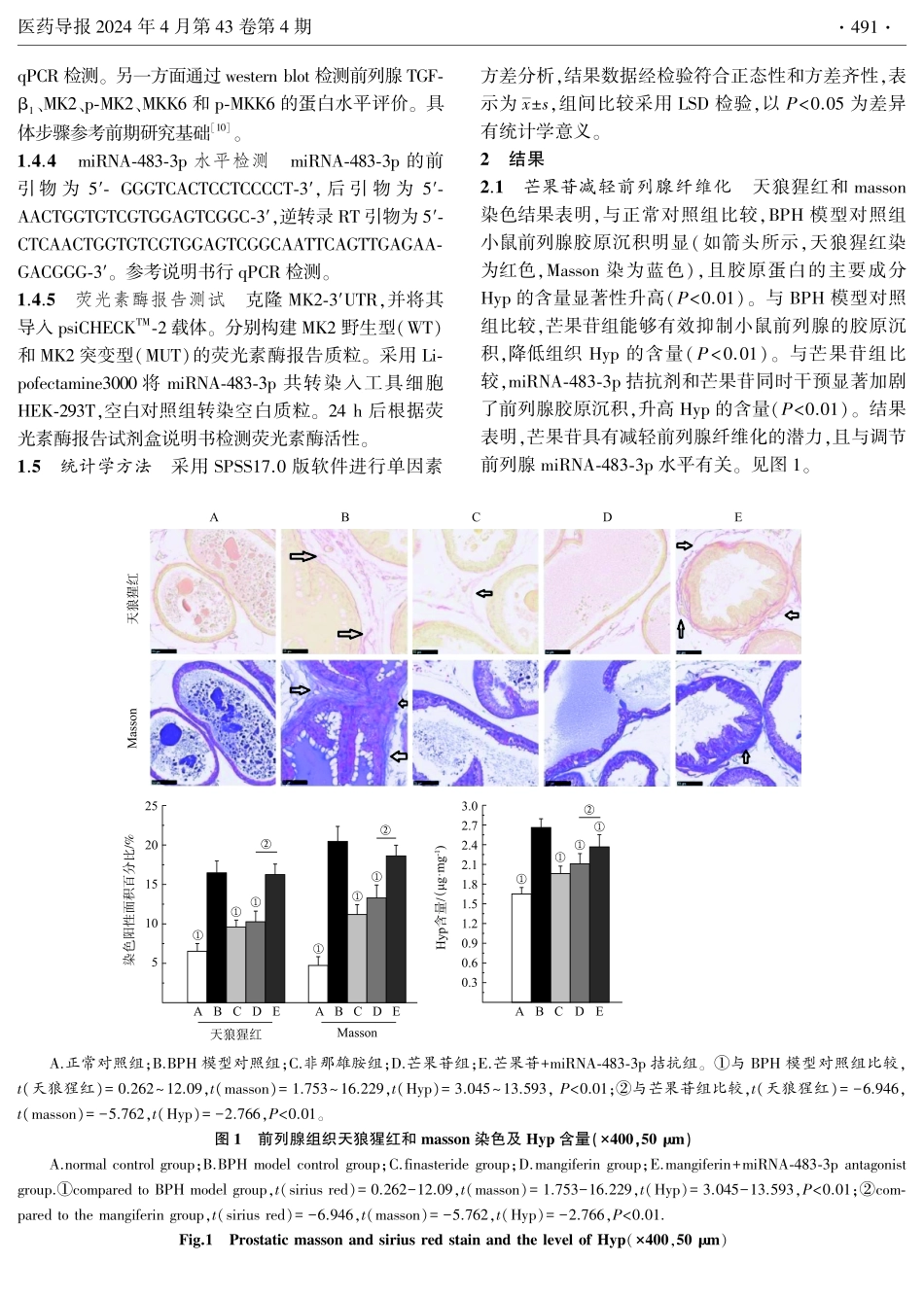 芒果苷通过调节miRNA-483-3p减轻良性前列腺增生腺体纤维化.pdf_第3页
