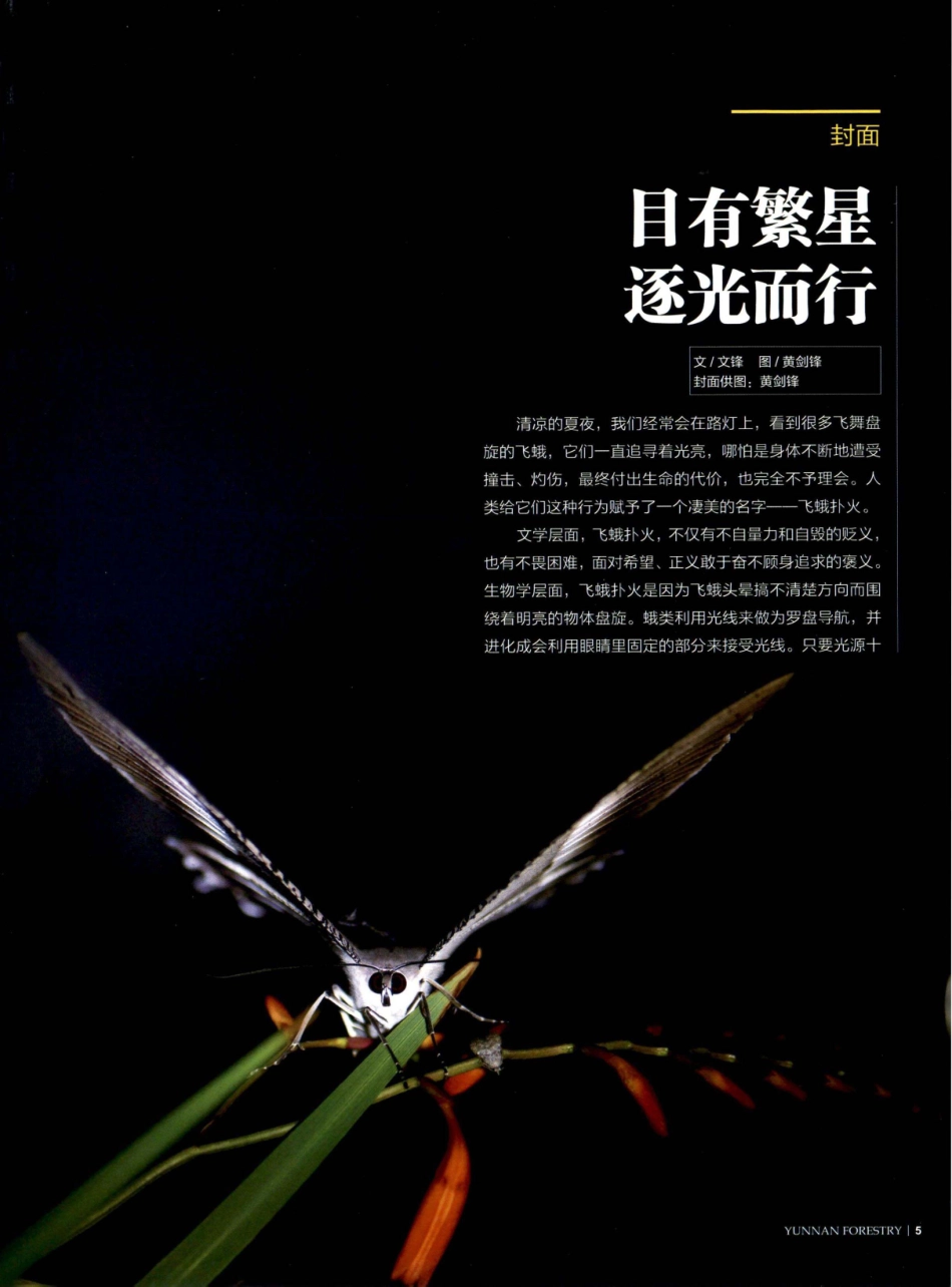 目有繁星 逐光而行.pdf_第1页