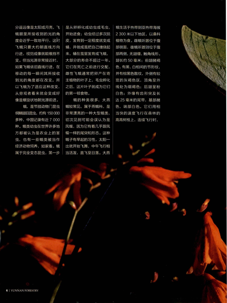 目有繁星 逐光而行.pdf_第2页