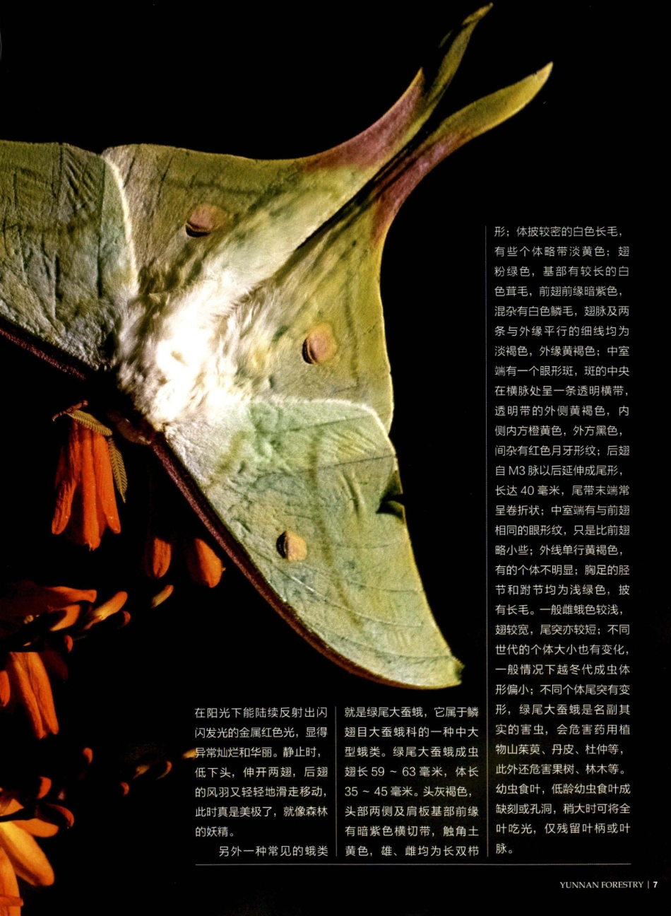 目有繁星 逐光而行.pdf_第3页