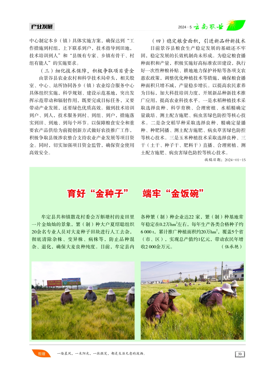 强化保障措施 确保粮食生产安全 (1).pdf_第3页