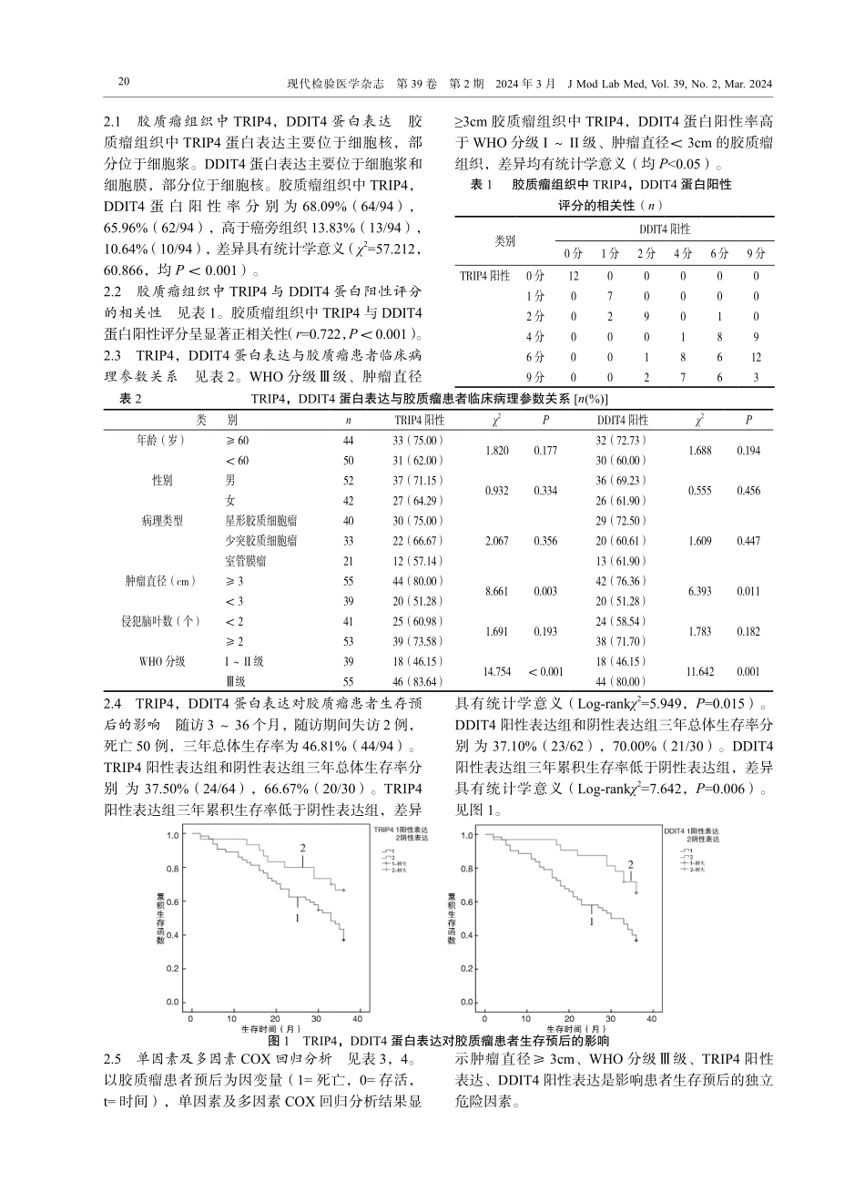 胶质瘤组织中TRIP4和DDIT4水平表达及其与临床病理特征和预后的关系.pdf_第3页