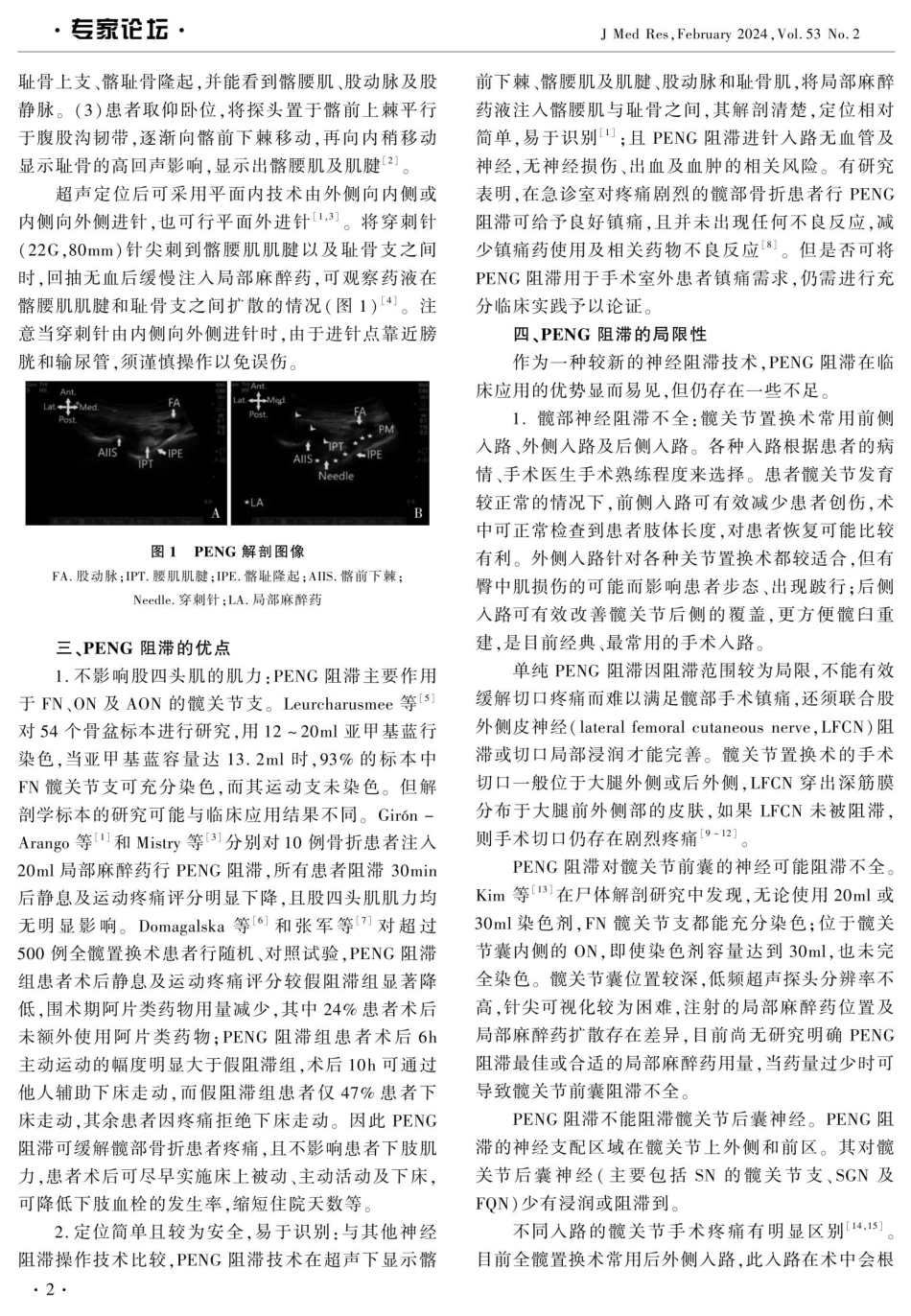 基于临床应用角度对髋关节囊周围神经阻滞进行回顾及分析.pdf_第2页