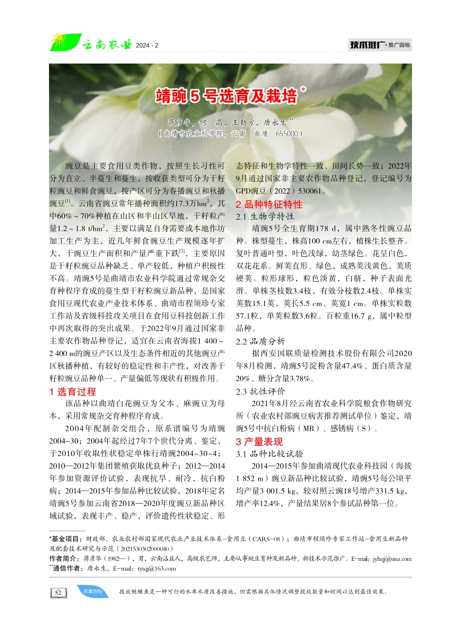 靖豌5号选育及栽培.pdf_第1页