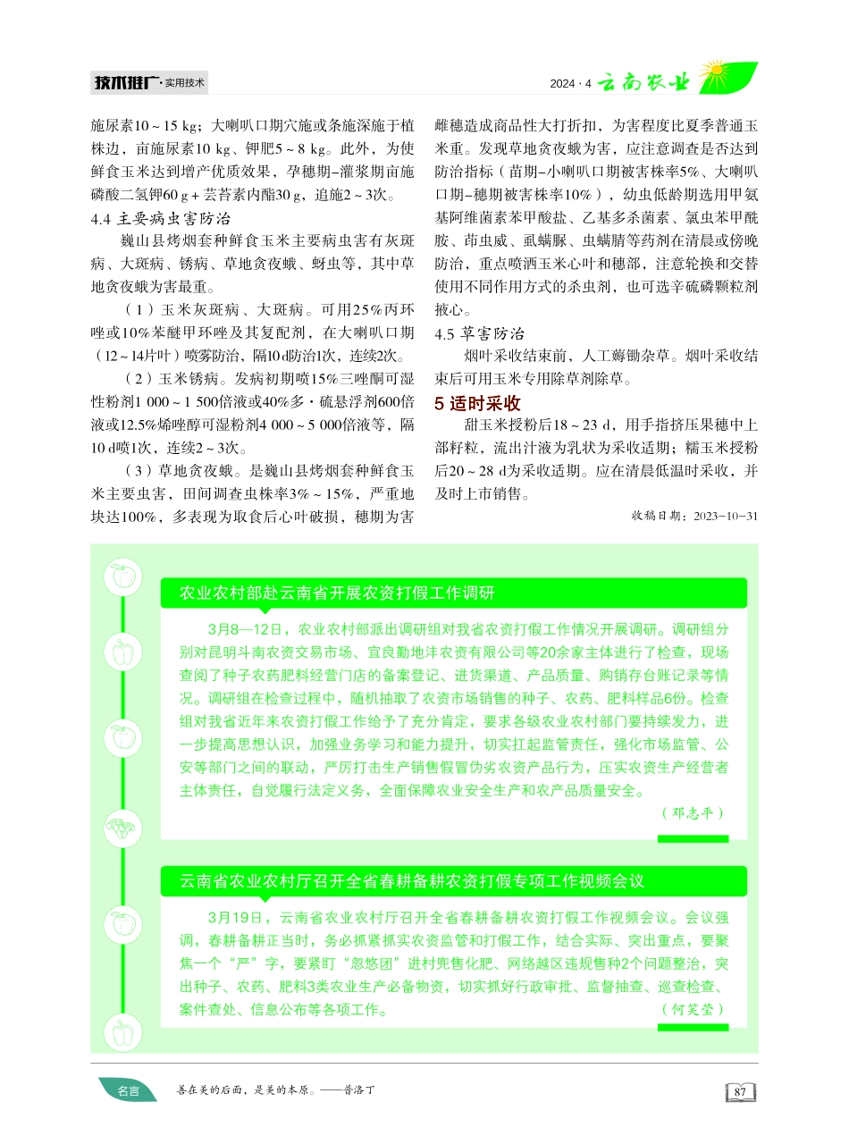 烤烟套种鲜食玉米高效栽培.pdf_第2页