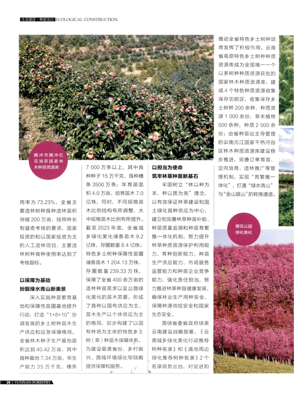 林草种苗为扮靓云南生态颜值注入新动力.pdf_第3页