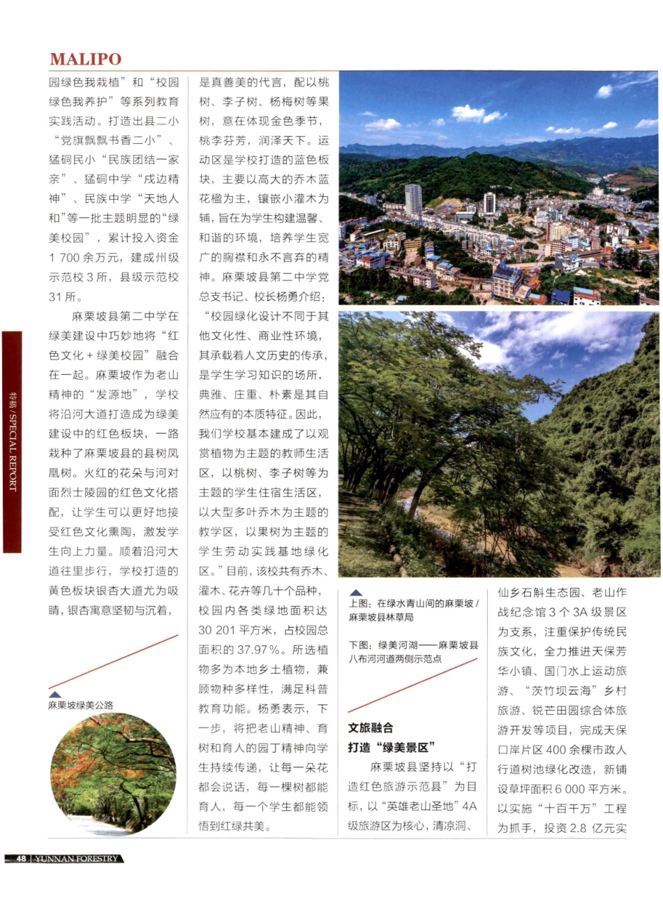 麻栗坡县 绿美边城入画来.pdf_第3页