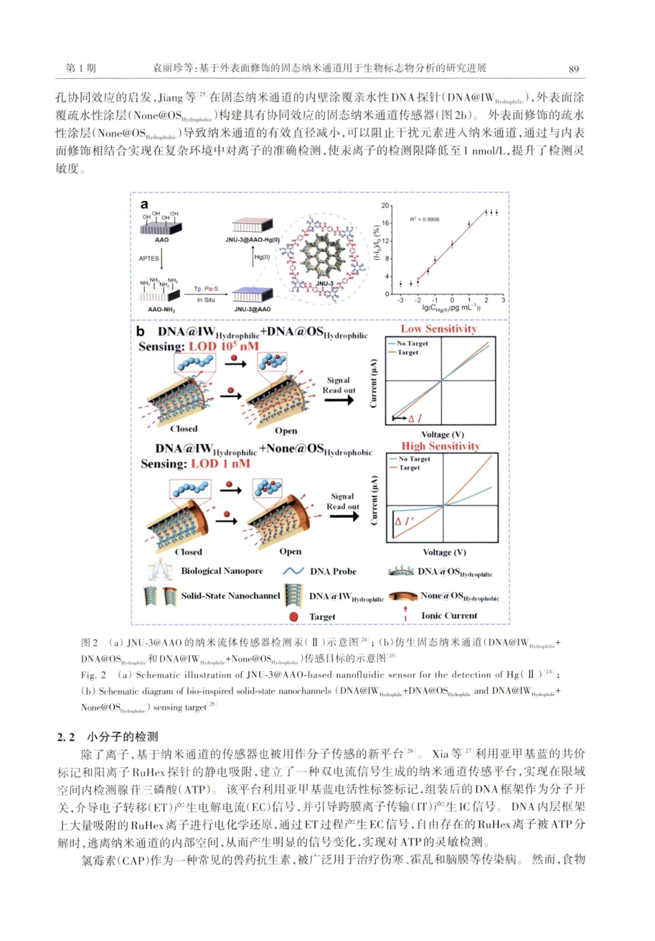 基于外表面修饰的固态纳米通道用于生物标志物分析的研究进展.pdf_第3页