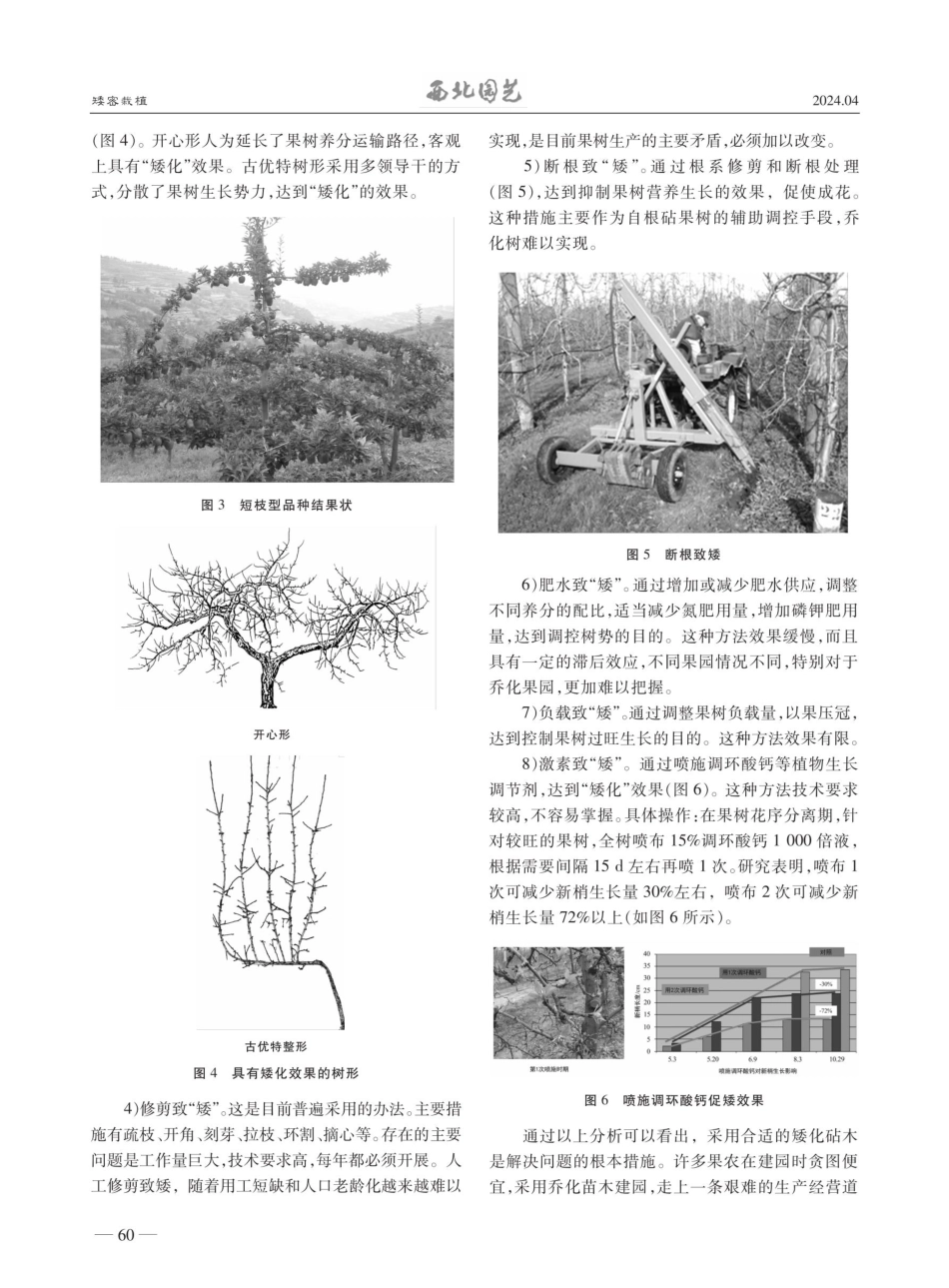 苹果矮密栽植专题%28一%29：谈谈矮砧密植的“矮”.pdf_第2页