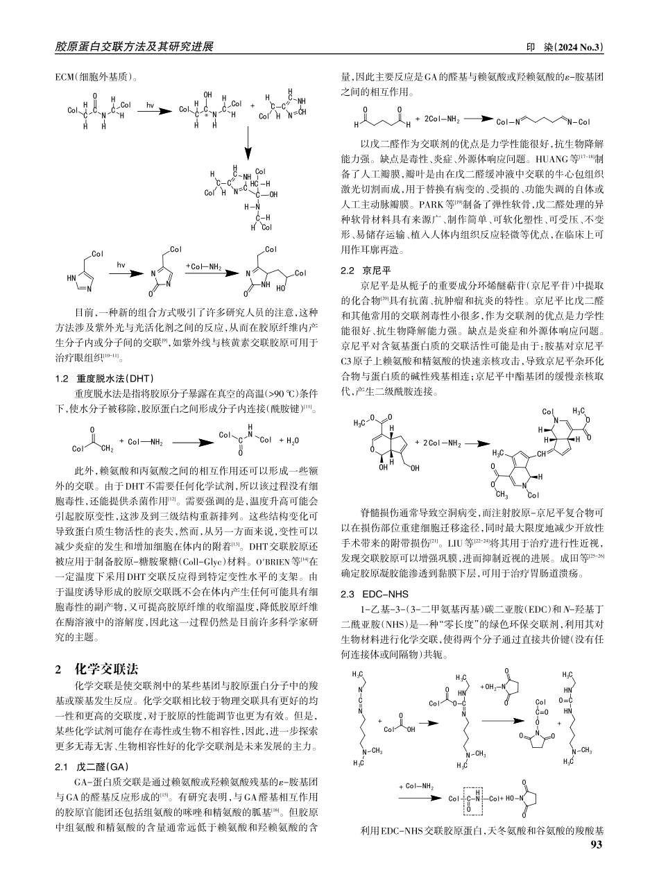 胶原蛋白交联方法及其研究进展.pdf_第2页