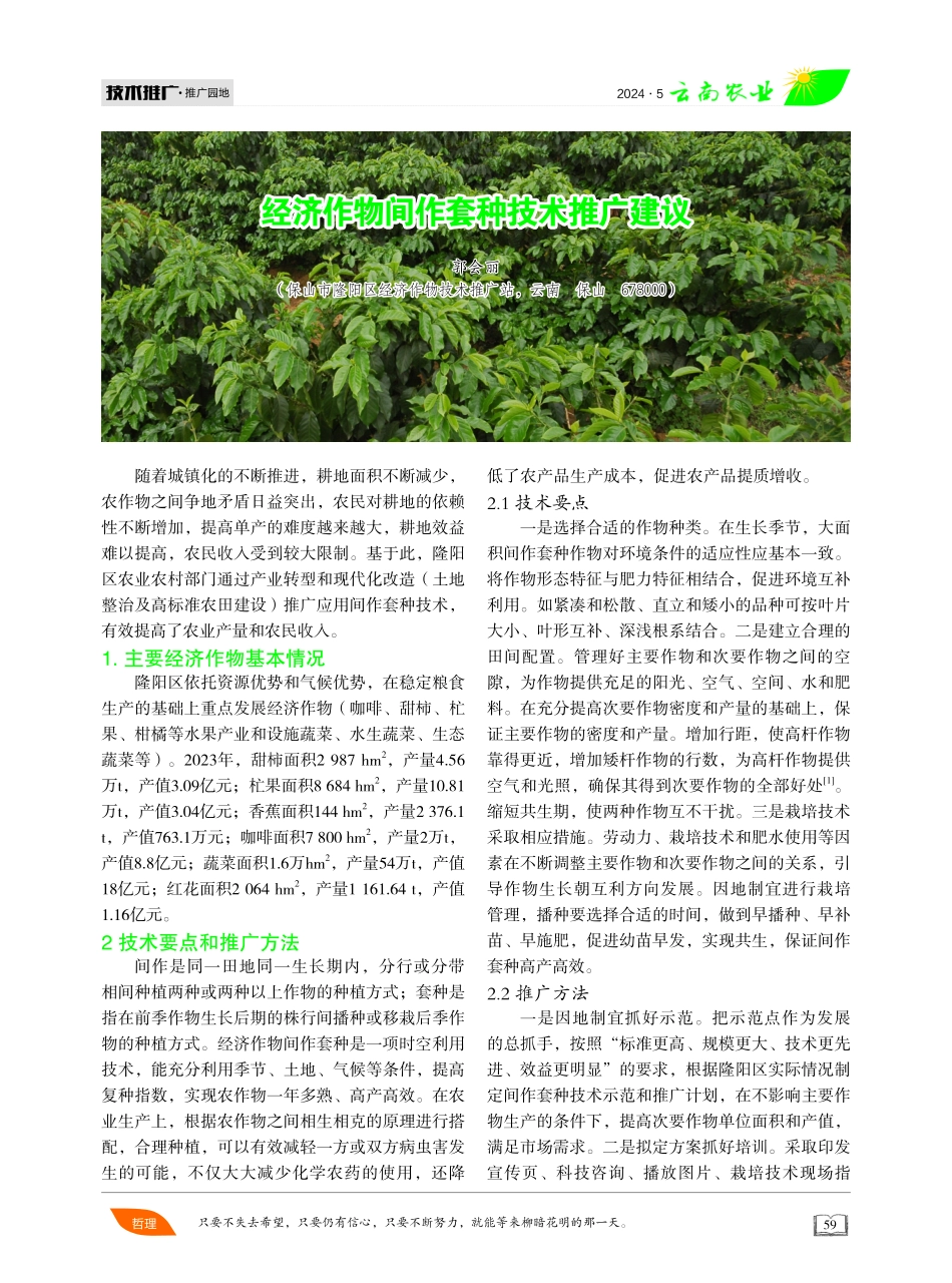 经济作物间作套种技术推广建议 (1).pdf_第1页