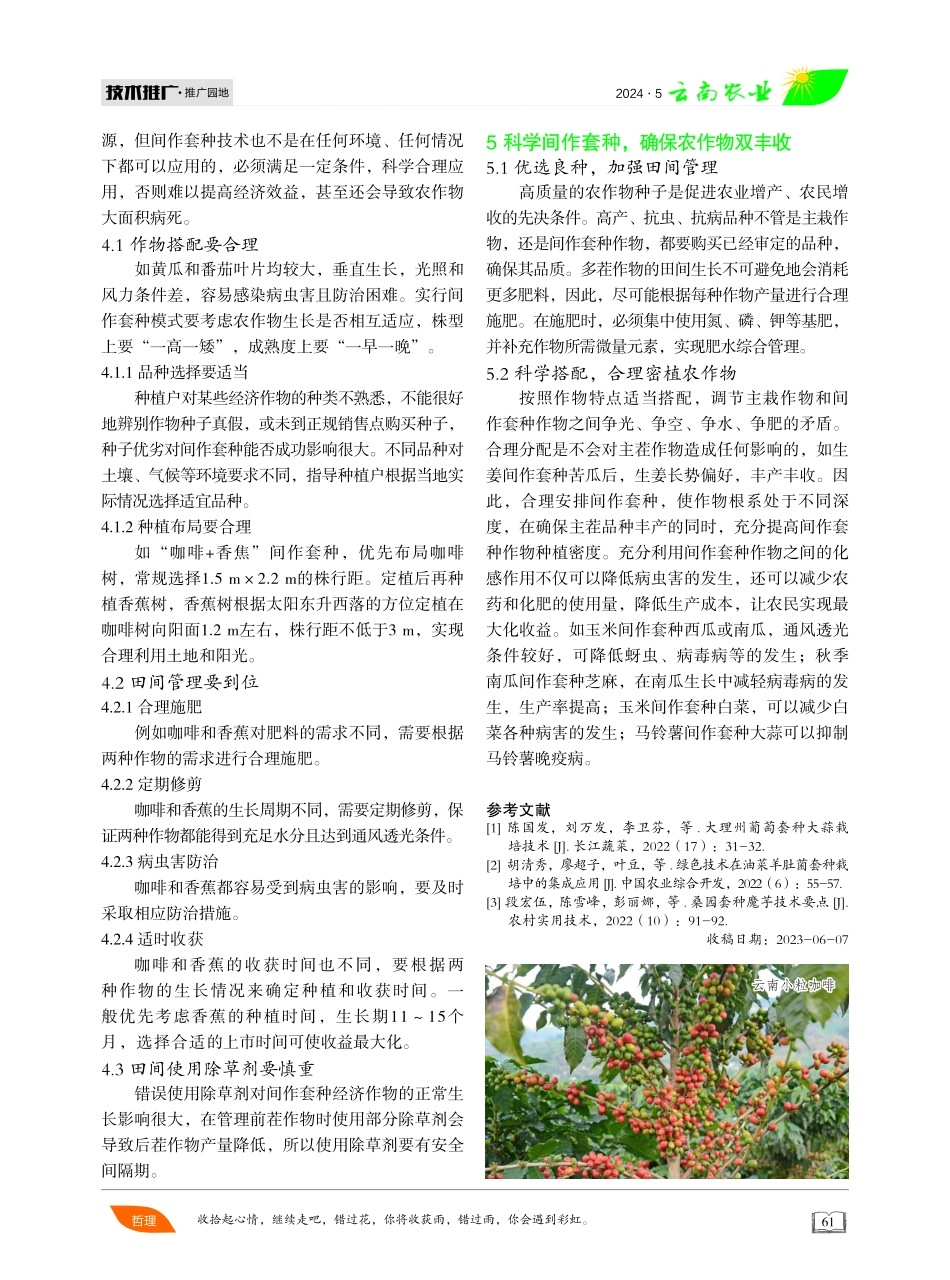 经济作物间作套种技术推广建议 (1).pdf_第3页