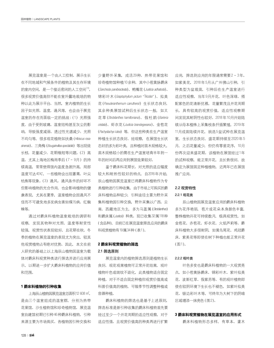 爵床科植物在展览温室的筛选与应用研究——以上海辰山植物园为例.pdf_第2页