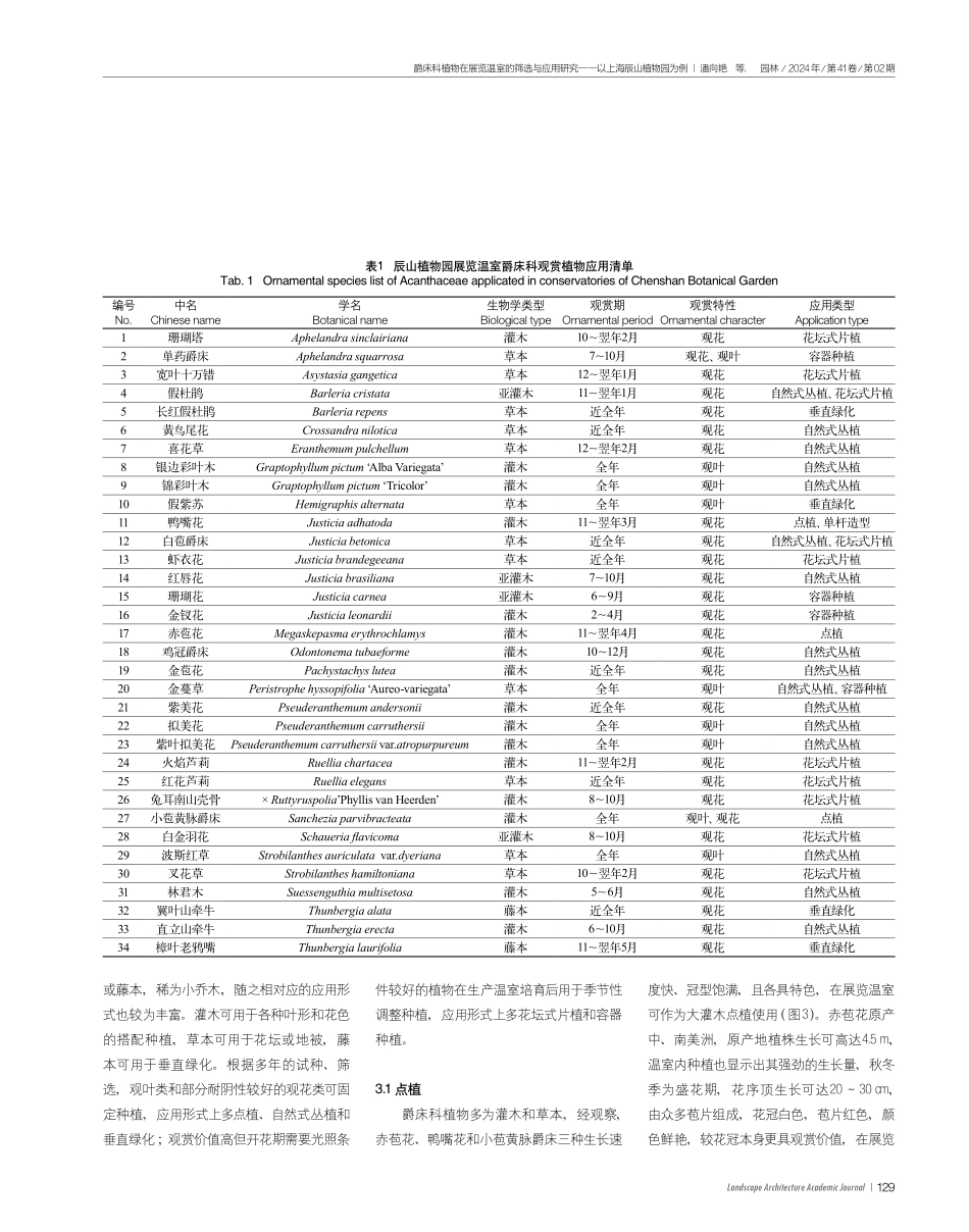 爵床科植物在展览温室的筛选与应用研究——以上海辰山植物园为例.pdf_第3页