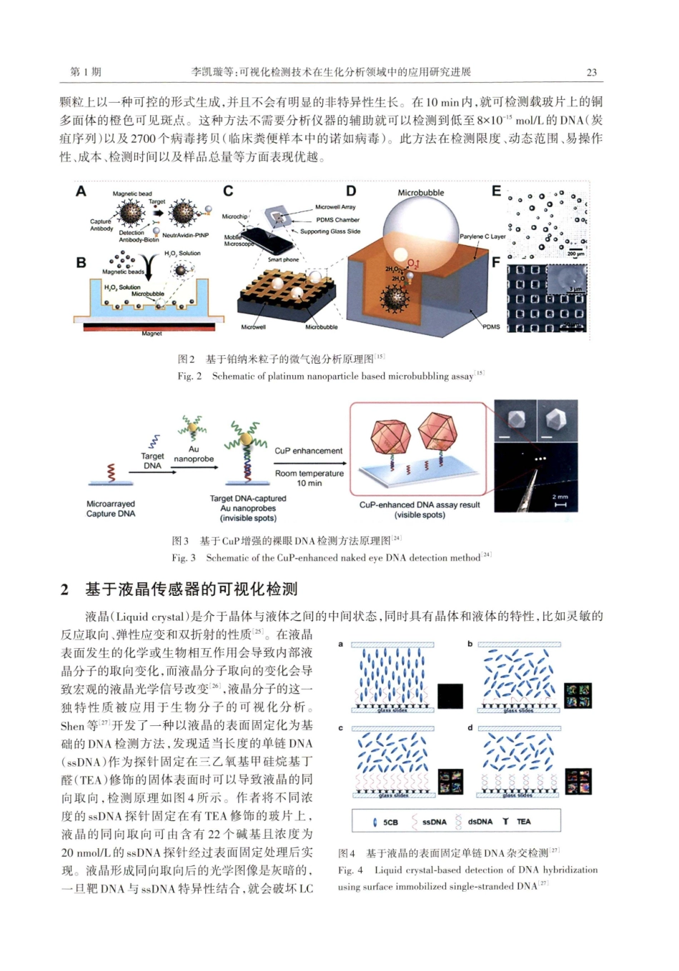 可视化检测技术在生化分析领域中的应用研究进展.pdf_第3页