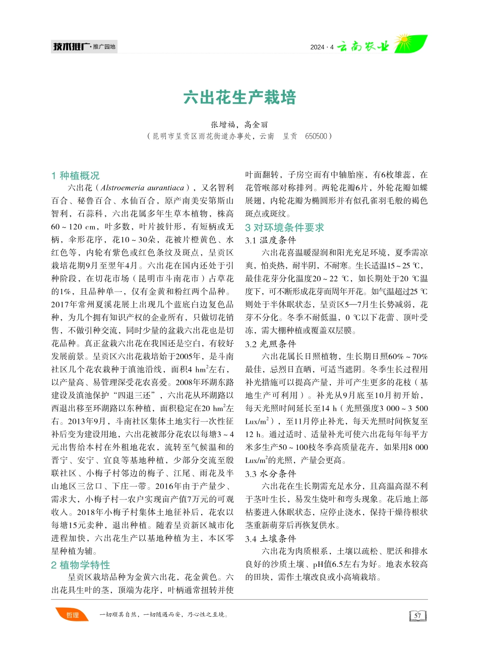 六出花生产栽培.pdf_第1页