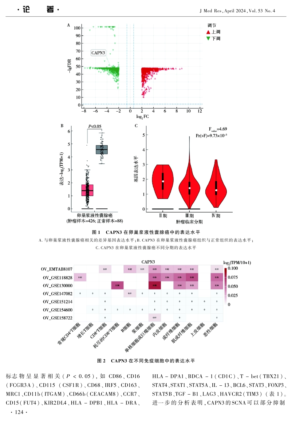 卵巢浆液性囊腺癌中CAPN3的表达、预后及免疫浸润分析 (1).pdf_第3页