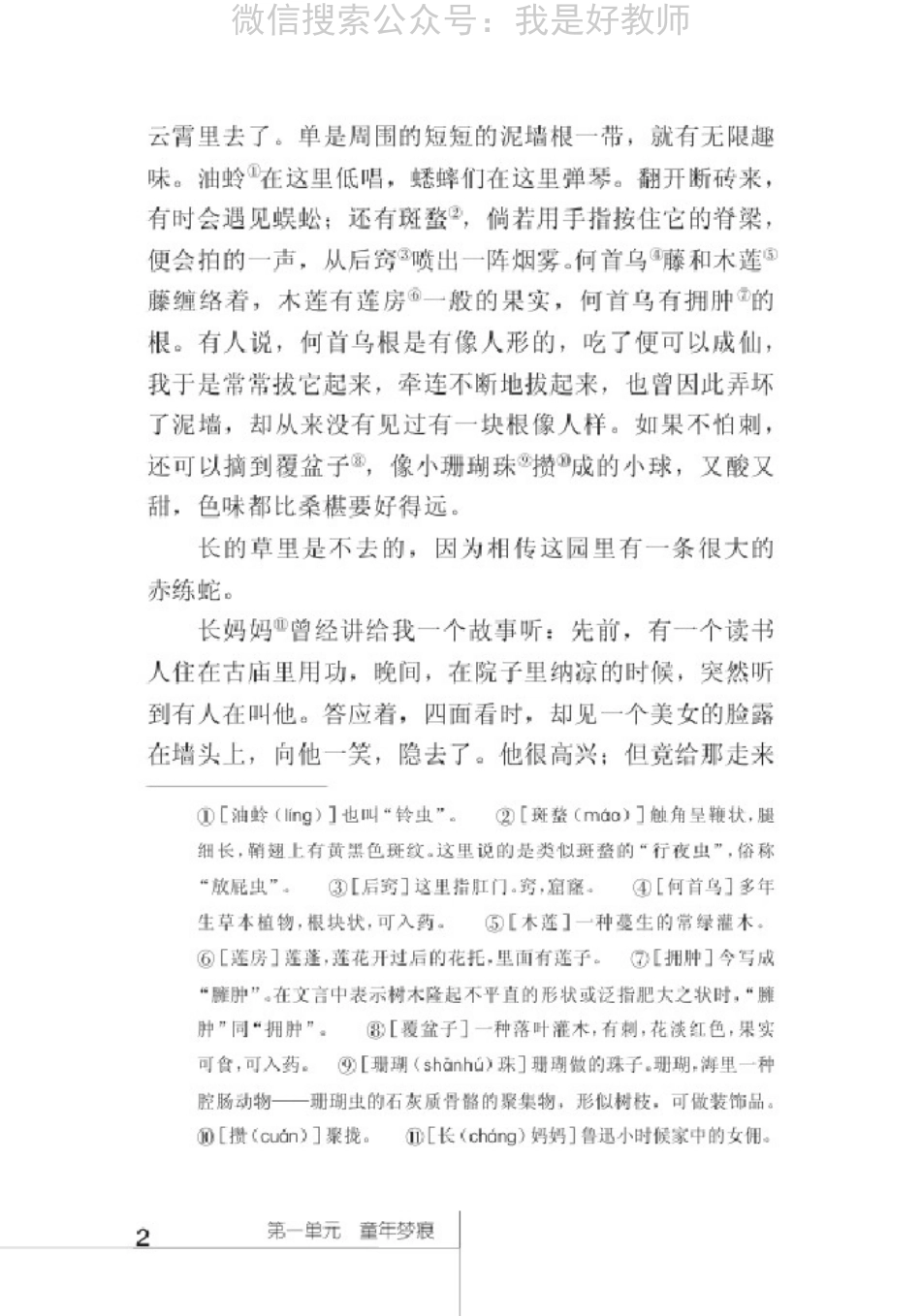 北师大版七年级上册(1).pdf_第3页