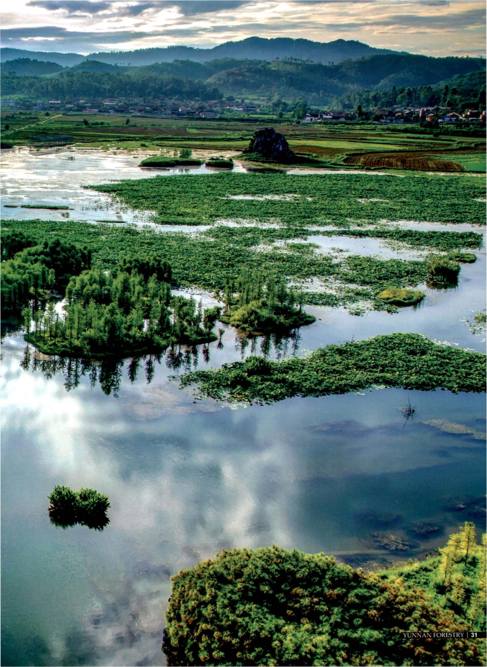 大美文山 绿美与共.pdf_第2页