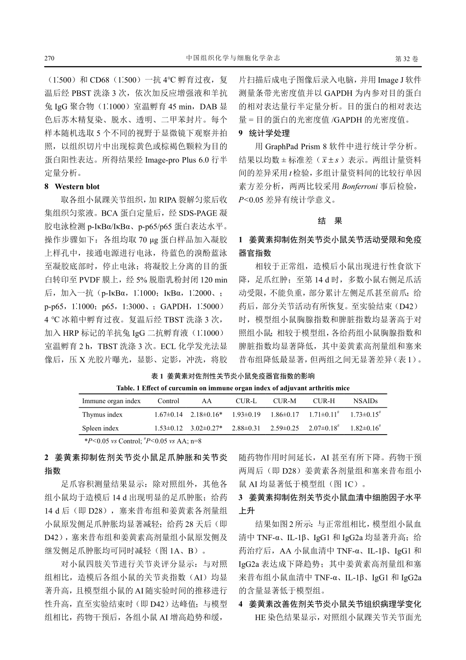 姜黄素对佐剂性关节炎小鼠的治疗作用.pdf_第3页