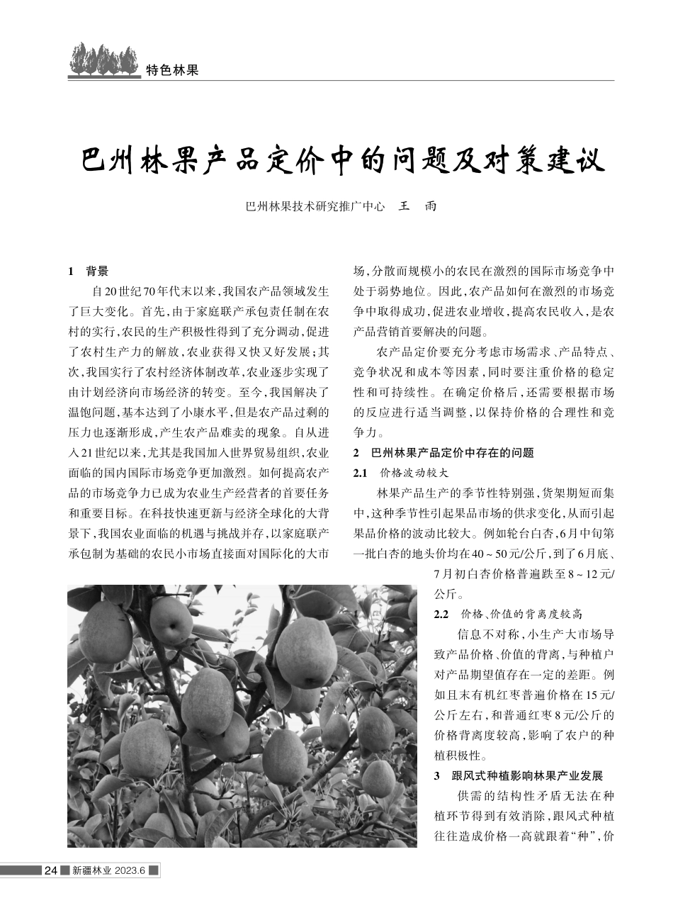 巴州林果产品定价中的问题及对策建议.pdf_第1页