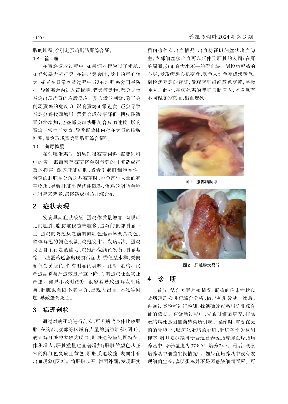 蛋鸡脂肪肝综合征的诊断及治疗.pdf_第2页
