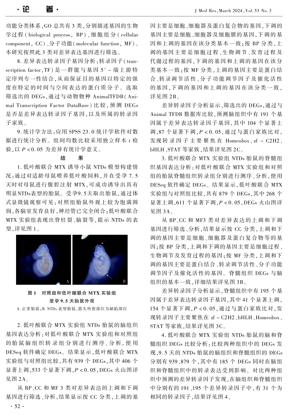 低叶酸联合甲氨蝶呤诱导神经管畸形胎鼠的神经组织转录组学分析.pdf_第3页