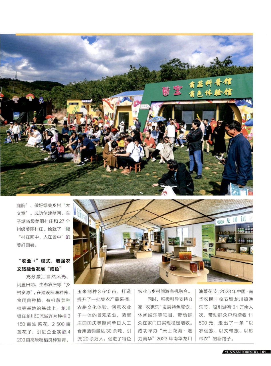 南华县龙川镇农文旅融合发展 实现村庄美农民富.pdf_第2页