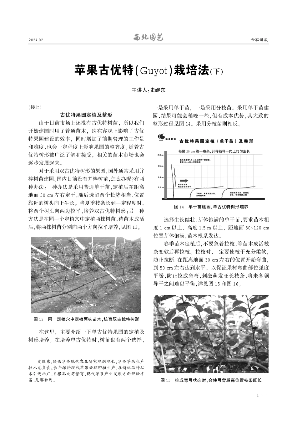 苹果古优特%28Guyot%29栽培法%28下%29.pdf_第1页