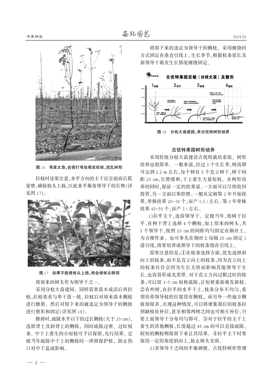 苹果古优特%28Guyot%29栽培法%28下%29.pdf_第2页