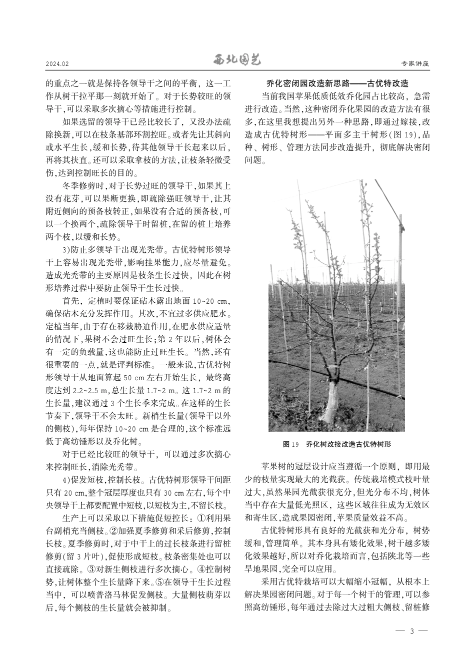 苹果古优特%28Guyot%29栽培法%28下%29.pdf_第3页