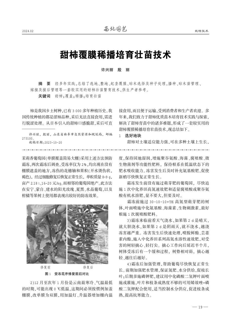 葡萄萌芽后霜冻的预防与冻后管理.pdf_第3页