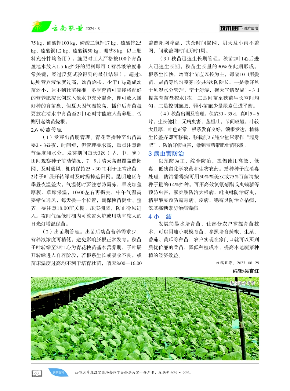 青花简易水培漂浮育苗.pdf_第2页