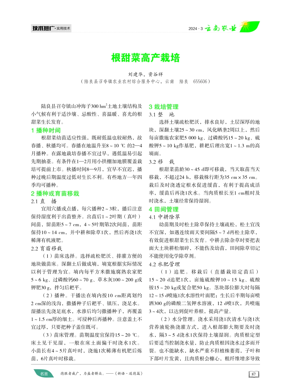 根甜菜高产栽培.pdf_第1页