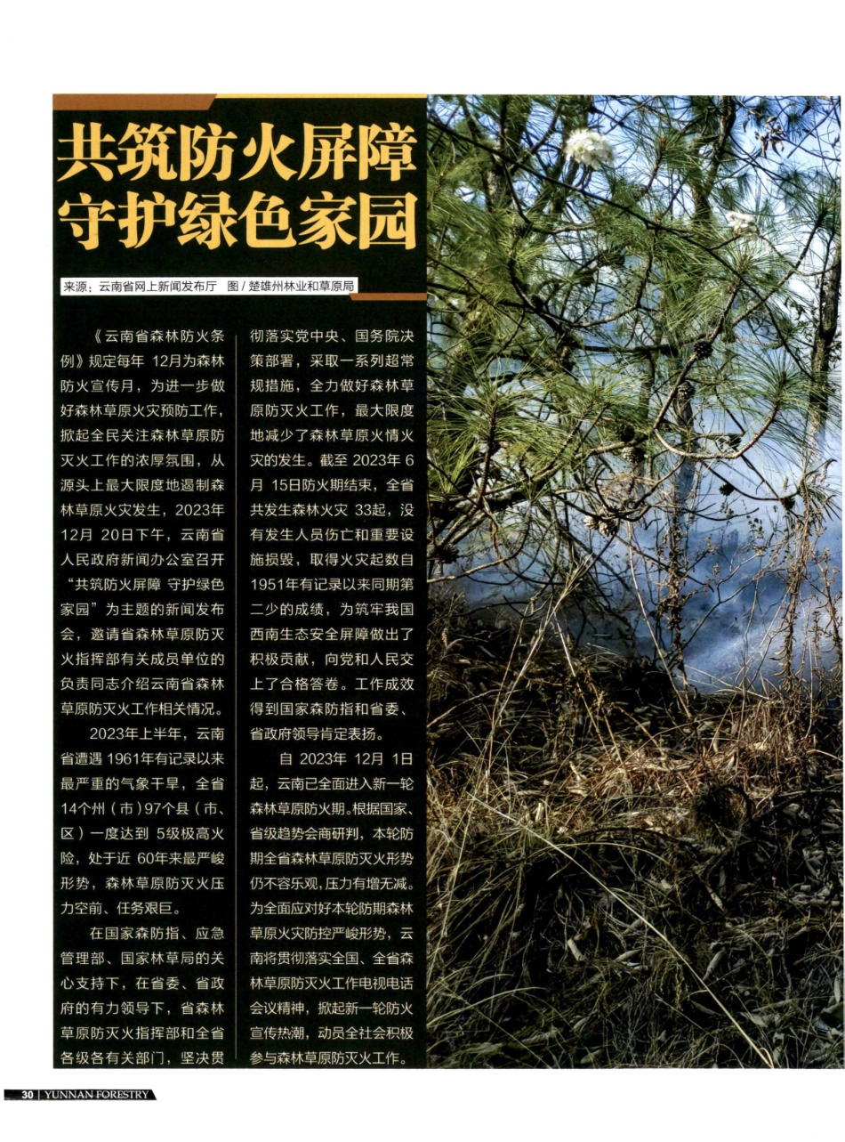 共筑防火屏障 守护绿色家园.pdf_第1页