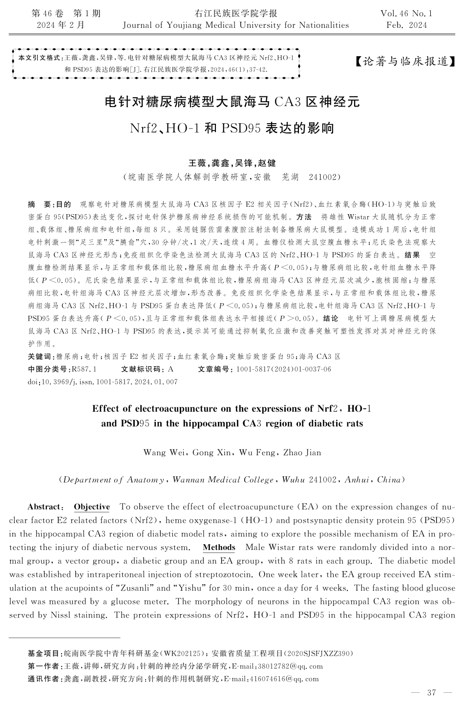 电针对糖尿病模型大鼠海马CA3区神经元Nrf2、HO-1和PSD95表达的影响.pdf_第1页