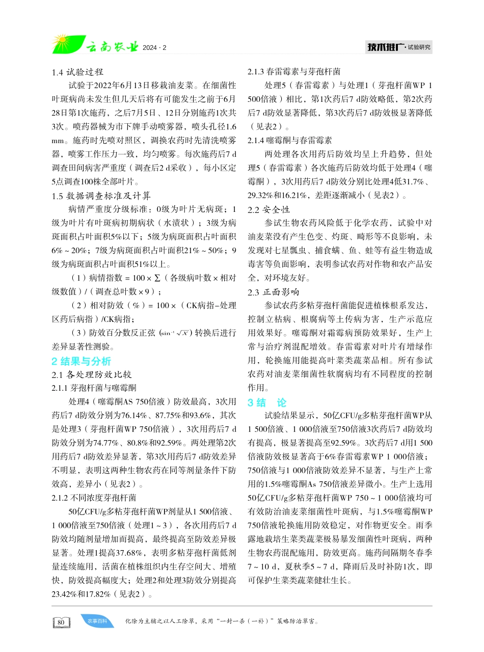多粘芽孢杆菌WP防治油麦菜细菌性叶斑病药效试验.pdf_第2页