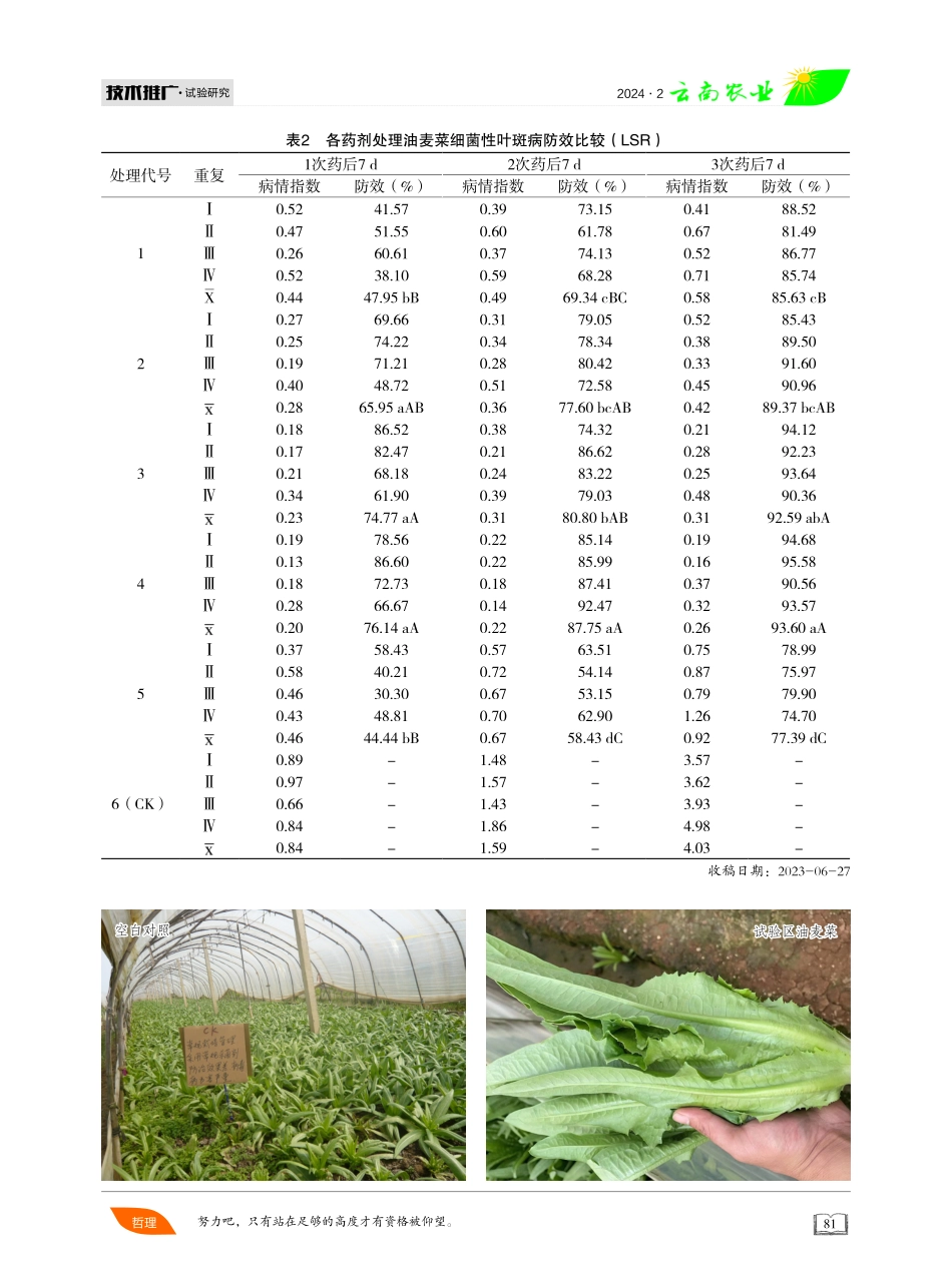 多粘芽孢杆菌WP防治油麦菜细菌性叶斑病药效试验.pdf_第3页